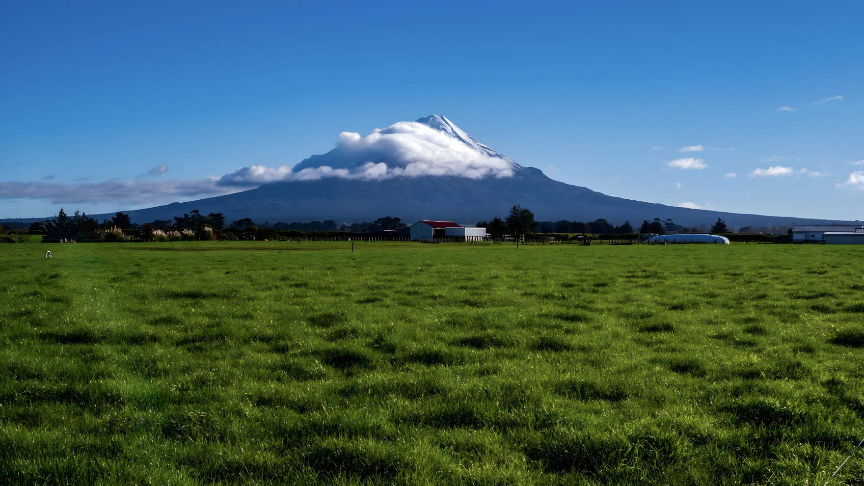 Mount Taranaki with a cap of cloud on its summit, rising over flat green Taranaki farmland under a blue sky